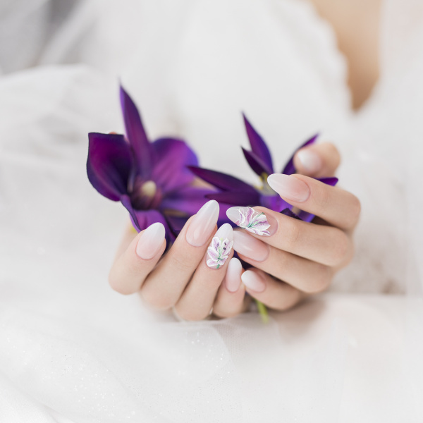 Transparent The One3