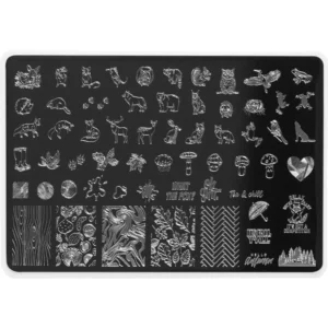Autumn 2 stamping plate - 1pcs